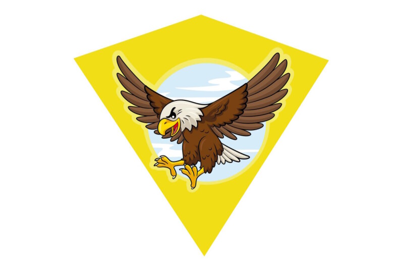 Drak létající orel plast 68x73cm